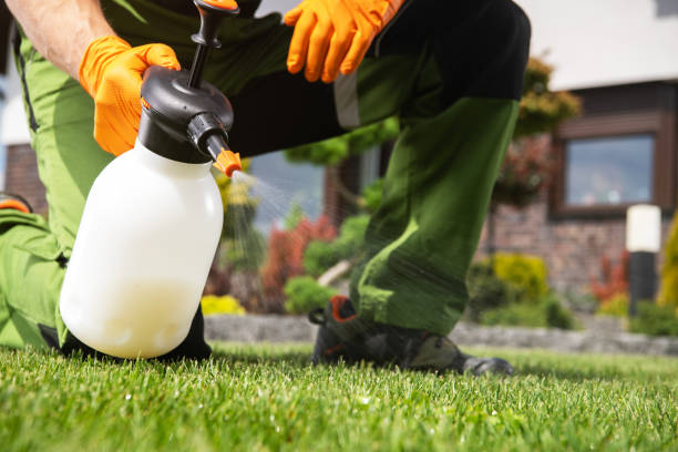 Best Pest Inspection Near Me  in Gillett, WI