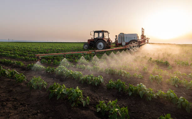 Best Best Pest Control Companies  in Gillett, WI