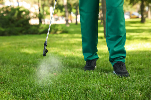 Best Cockroach Control Services  in Gillett, WI
