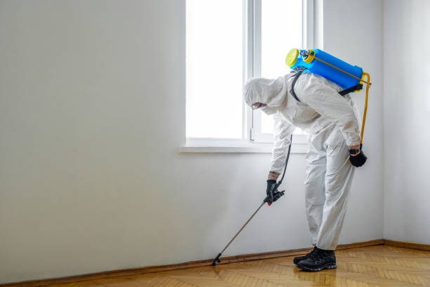 Best Residential Pest Control  in Gillett, WI