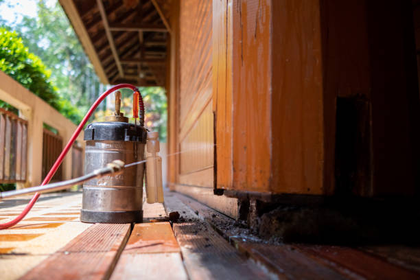 Best Mosquito Control Services  in Gillett, WI