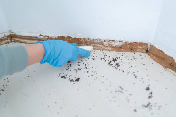 Pest Control for Restaurants in Gillett, WI